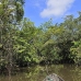 lake_mandicocha_la_v_0218_ecu0921.jpg